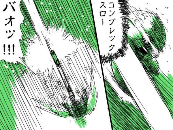 nk.p19.ミロワールのアグレッシブな使い方2